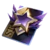 🌟