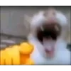 😆