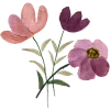 💐