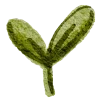 🌱