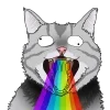 🐱