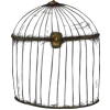 🩻