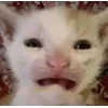 😦