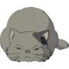 🐈‍⬛