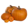 🎃