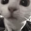 😗