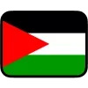 🇵🇸