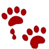 🐾