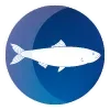 🐟