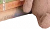🩷