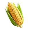 🌽