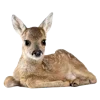 🦌