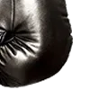 🥊
