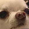 🥴