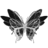 🦋
