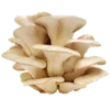 🍄