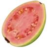 🍉