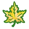 🍁