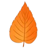 🍁