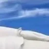 🙂