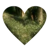 💚