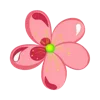 🌺