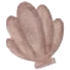 🐚