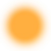 🟠