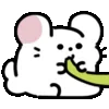 🐹