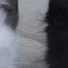 💀