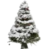 🎄