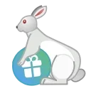 🐇