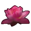 🌸