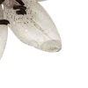 🪷