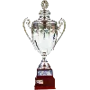 🏆