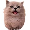 😛