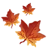🍁