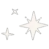 ✨