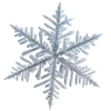 ❄️