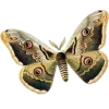 🦋