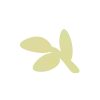 🌱