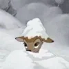 ☃️