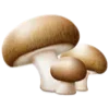 🍄
