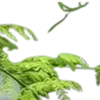 😀