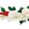 🌺