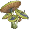 🍄