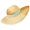 👒