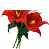 🌺