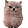 🙂