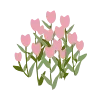 🌷